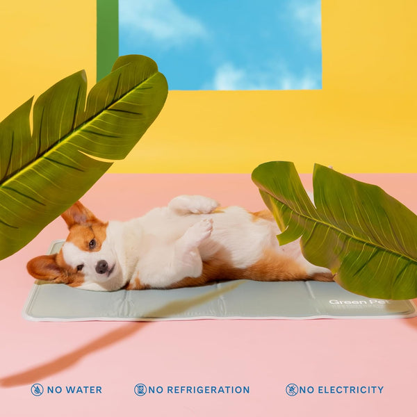 Pressure-Activated Pet Cooling Gel Mat LukkyDeals