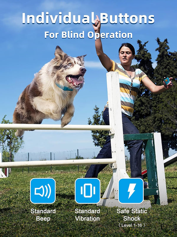 Bousnic All-in-One Dog Trainer LukkyDeals