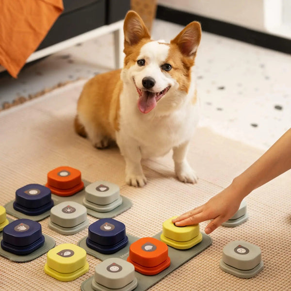 Pet Talk Button: Connect with Your Dog