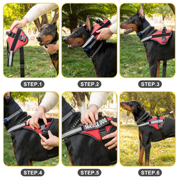 Pawsitive Adventure Dog Harness LukkyDeals