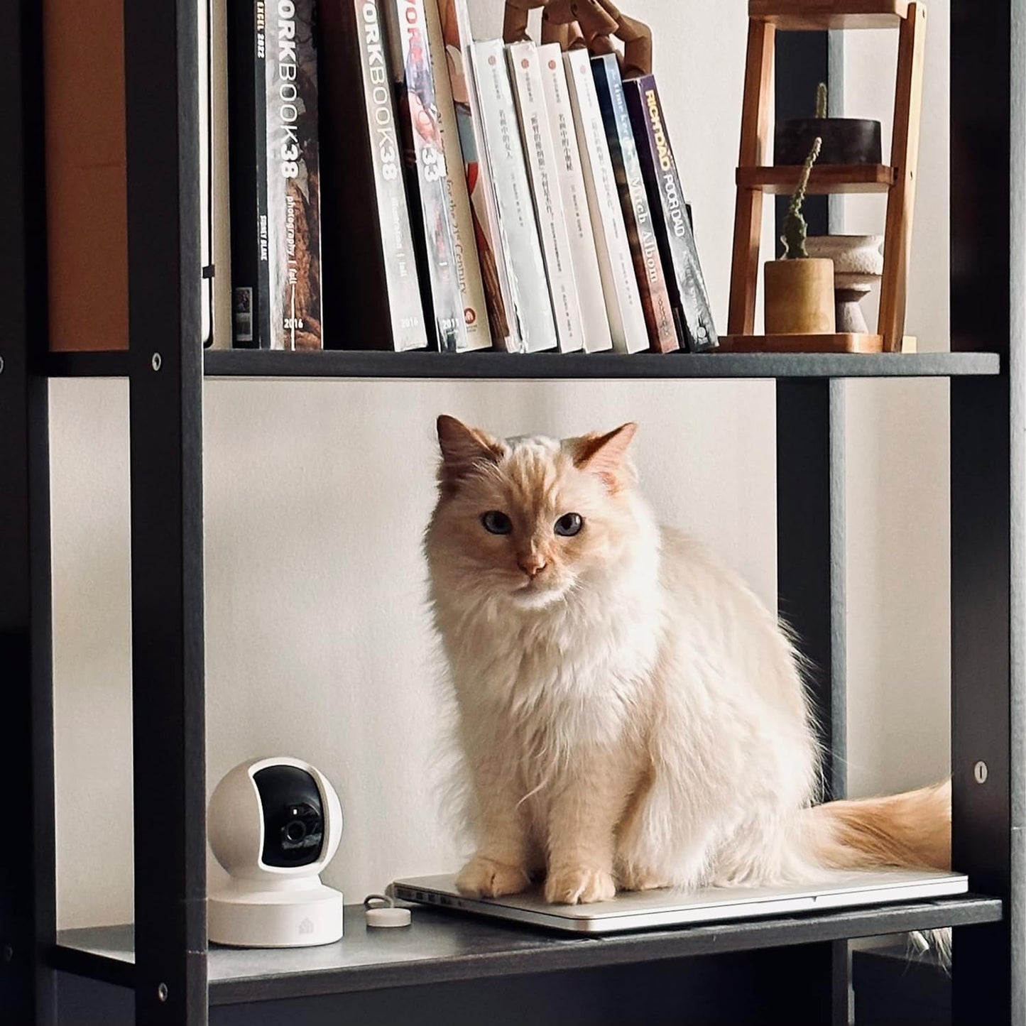 Smart Pet & Home Guard LukkyDeals