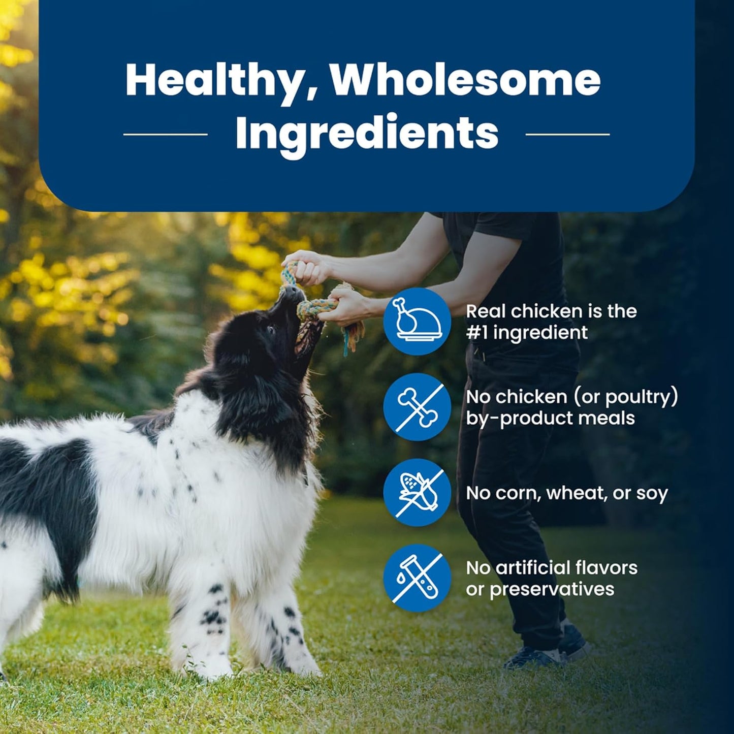 Healthy Paws Dog Food Delight LukkyDeals
