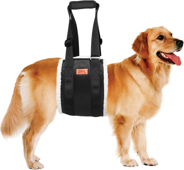 Gentle Lift Dog Harness
