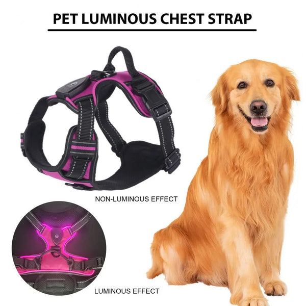 GlowBright Pet Safety Harness