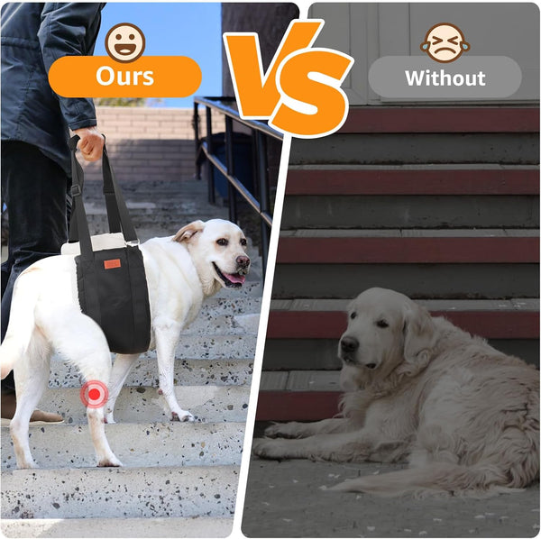 Gentle Lift Dog Harness