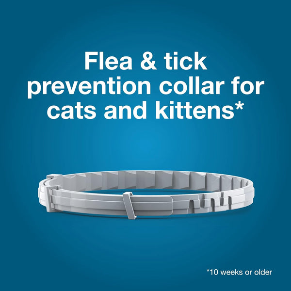 Purrfect Shield Cat Collar