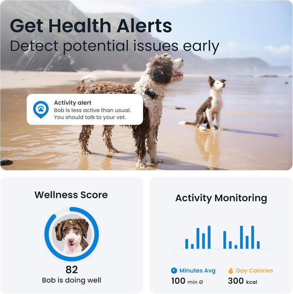 Tractive Pet Tracker for Dogs LukkyDeals