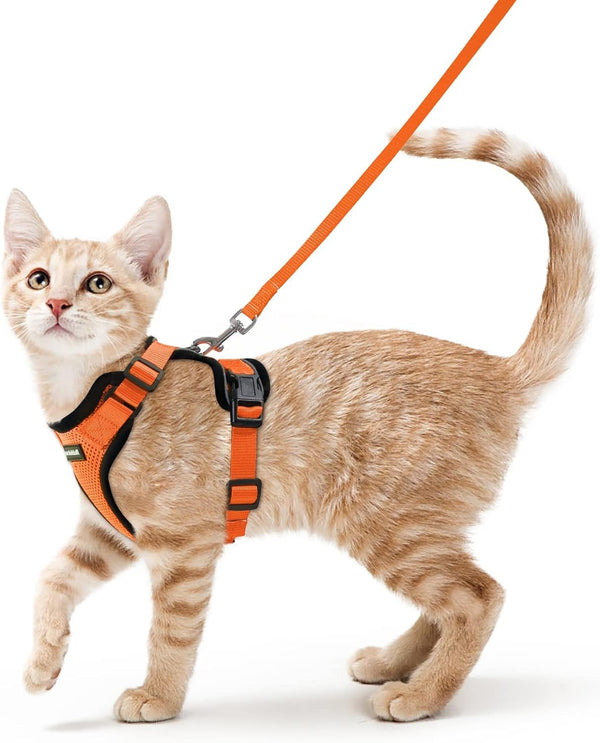 Comfy Cat Adventure Harness