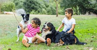10 dog breeds that make excellent companions for children