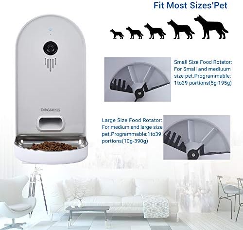 5 Reasons Why Every Pet Owner Needs an Intelligent Timed Pet Feeder