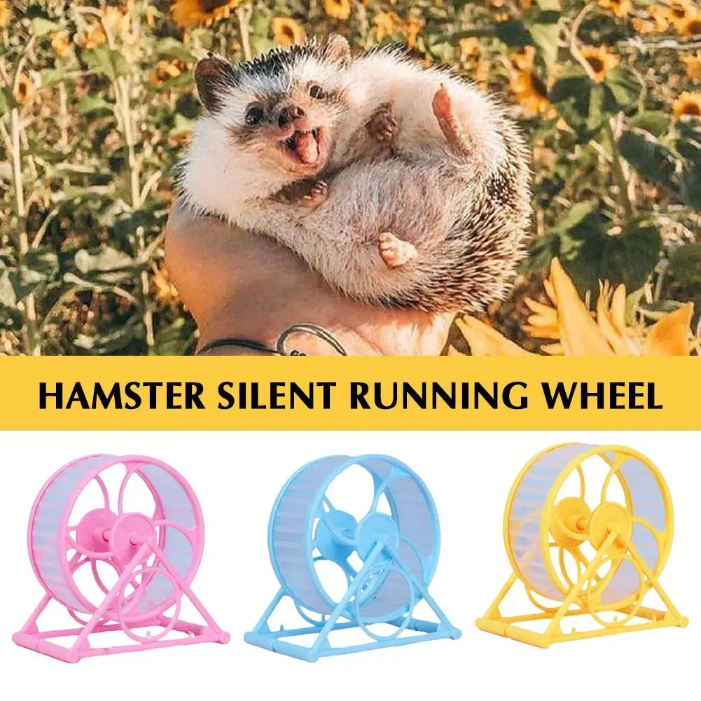 Why-Do-Rabbits-Need-an-Exercise-Wheel LukkyDeals