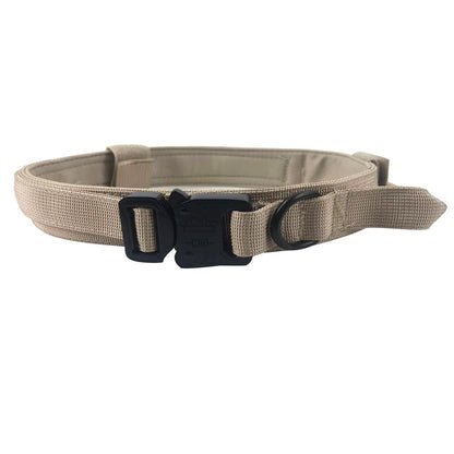 Heavy-duty tactical dog collar made from durable nylon, designed for strength and security