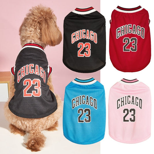 dog basketball costume