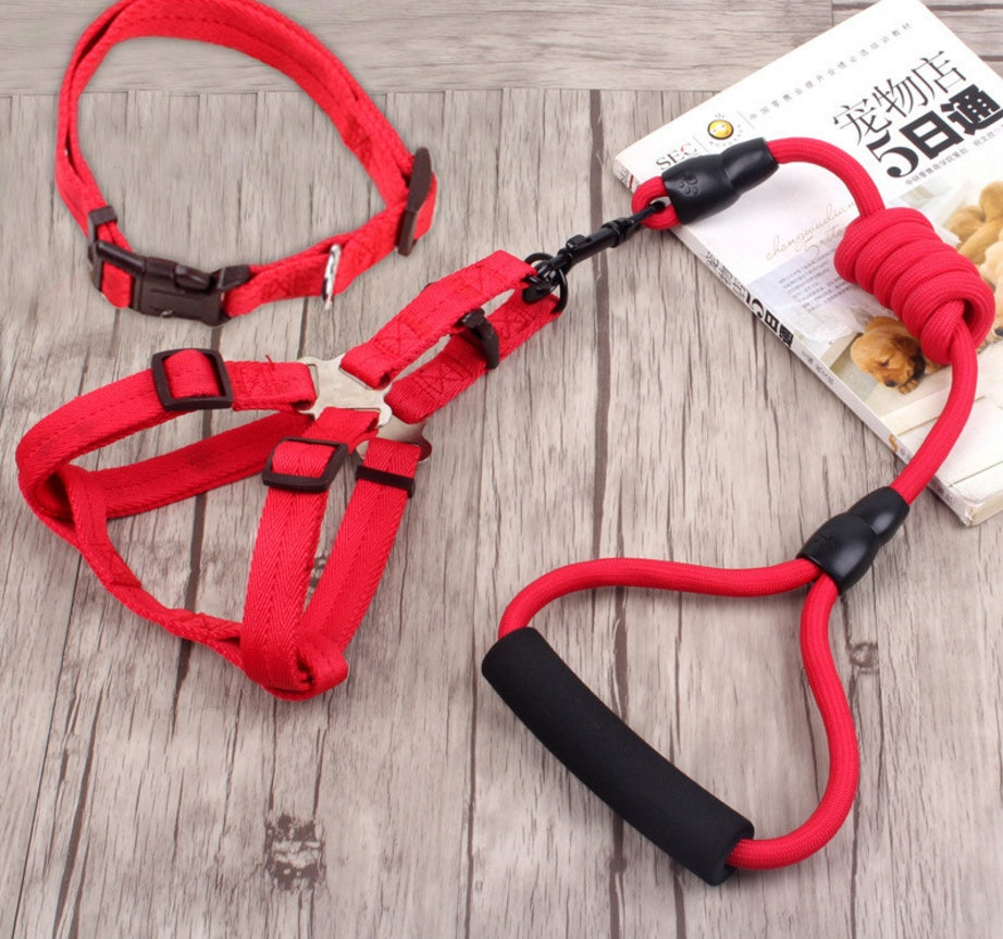 Dog Collar, Harness, & Leash Set - LukkyDeals