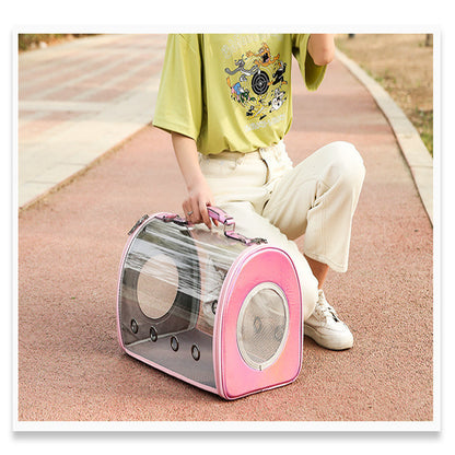 Transparent pet bag