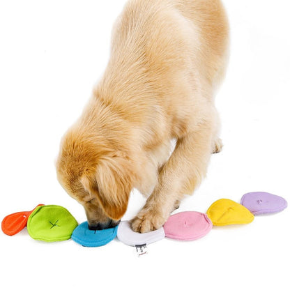 Macaron sniffing dog toys