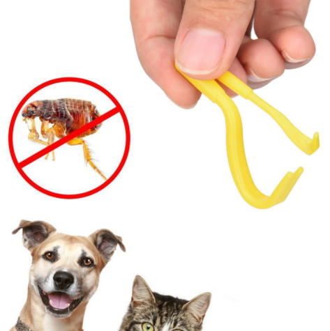 Pets except scorpion catching flea comb