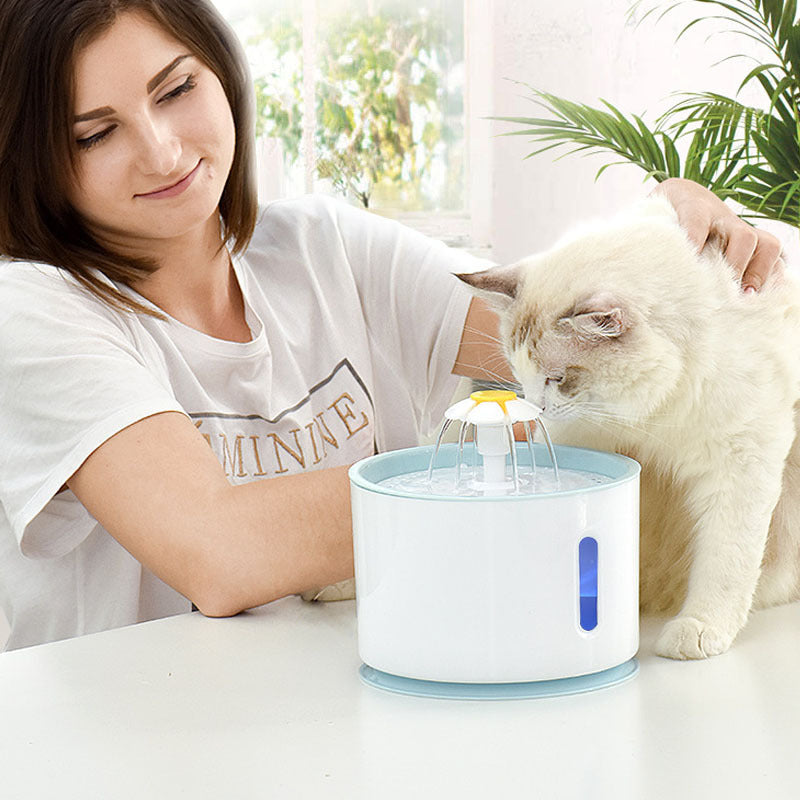 Pet USB Electric Water Feeder Lacks Water And Power