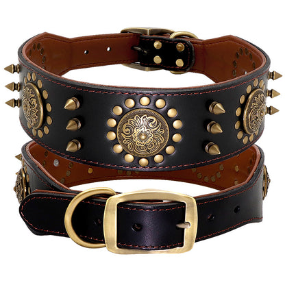 Large dog wearing a stylish and sturdy studded leather collar for training and protection