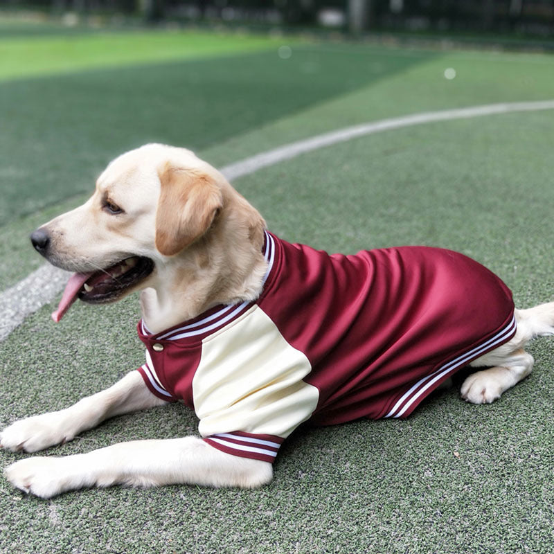 Buy Baseball Uniform Pet Clothing for Medium & Large Dogs - LukkyDeals