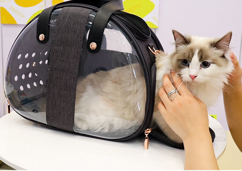 Double Fish Transparent Cat Backpack - LukkyDeals