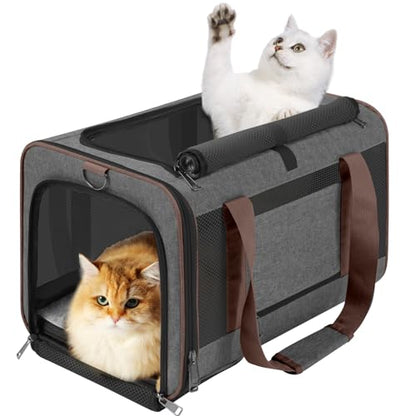 Pet Carrier for Large Cats 20 lbs+ / Soft Sided Small Dog Travel Carrier Top Load/Collapsible Carrier Bag for Big Cat / 2 Kittens Sturdy Transport Carrier Long Trips/Medium Cats 15 pounds