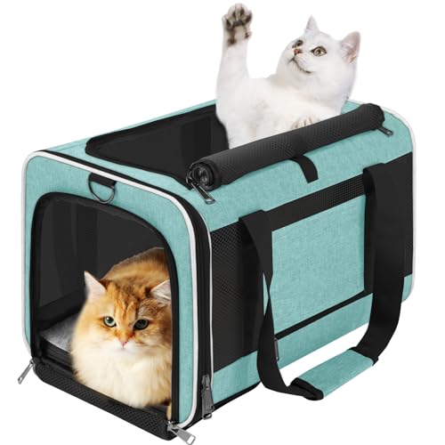 Pet Carrier for Large Cats 20 lbs+ / Soft Sided Small Dog Travel Carrier Top Load/Collapsible Carrier Bag for Big Cat / 2 Kittens Sturdy Transport Carrier Long Trips/Medium Cats 15 pounds