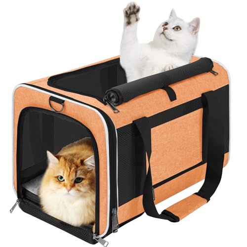 Pet Carrier for Large Cats 20 lbs+ / Soft Sided Small Dog Travel Carrier Top Load/Collapsible Carrier Bag for Big Cat / 2 Kittens Sturdy Transport Carrier Long Trips/Medium Cats 15 pounds