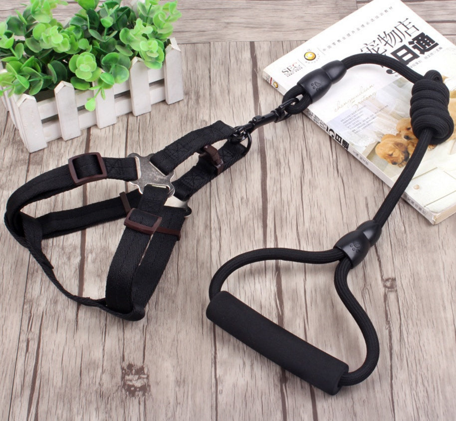 Dog Collar, Harness, & Leash Set - LukkyDeals