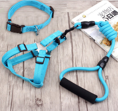 Dog Collar, Harness, & Leash Set - LukkyDeals