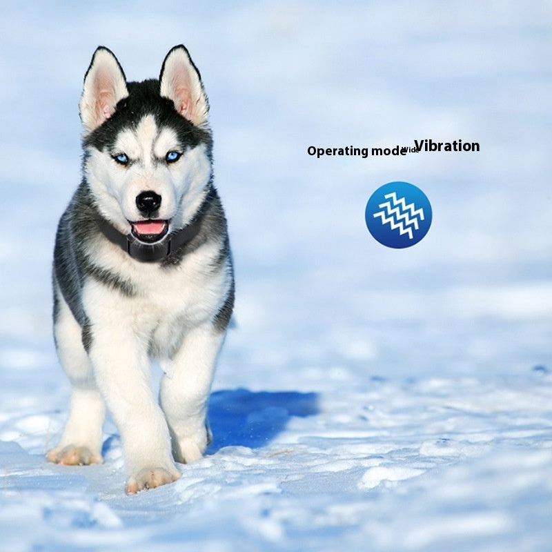 Effective automatic dog barking stopper with shock correction for better behavior