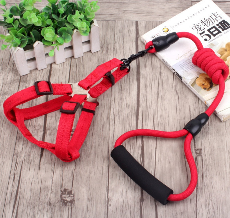 Dog Collar, Harness, & Leash Set - LukkyDeals