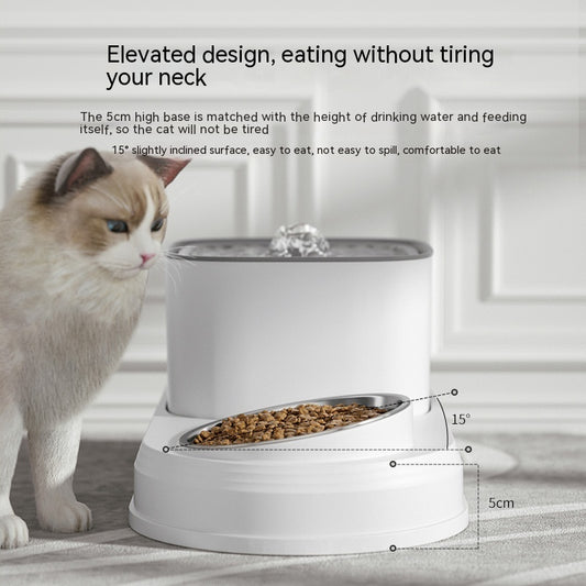 Cat Bowl Automatic Drinking Water Feeder