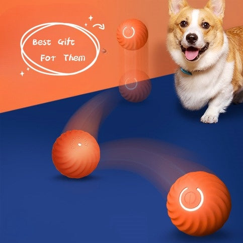 Pet Dog Rubber Ball Toys For Dogs Resistance To Bite Dog Chew Toys Puppy Pets Dogs Training Products - LukkyDeals