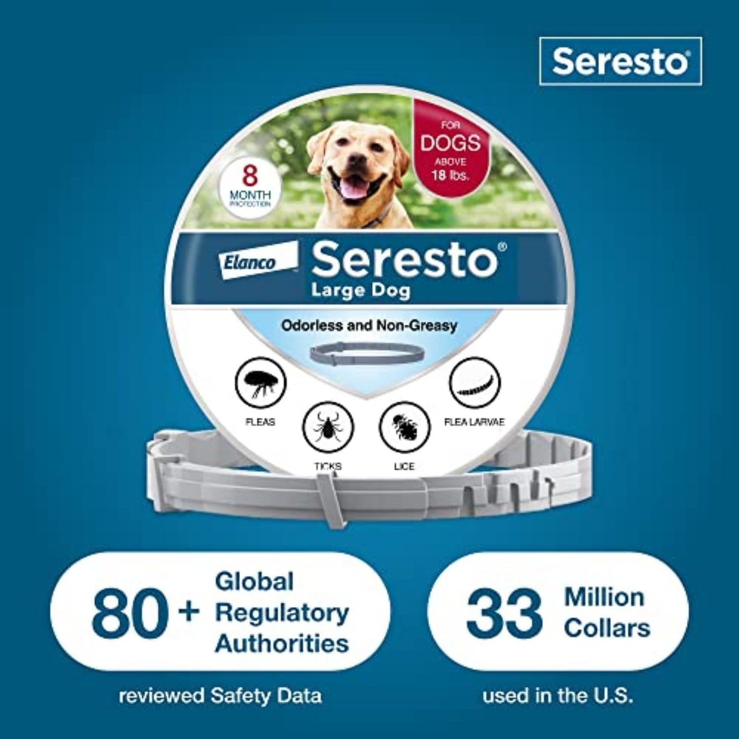 Seresto Large Dog Vet-Recommended Flea & Tick Treatment & Prevention Collar for Dogs Over 18 lbs. | 8 Months Protection