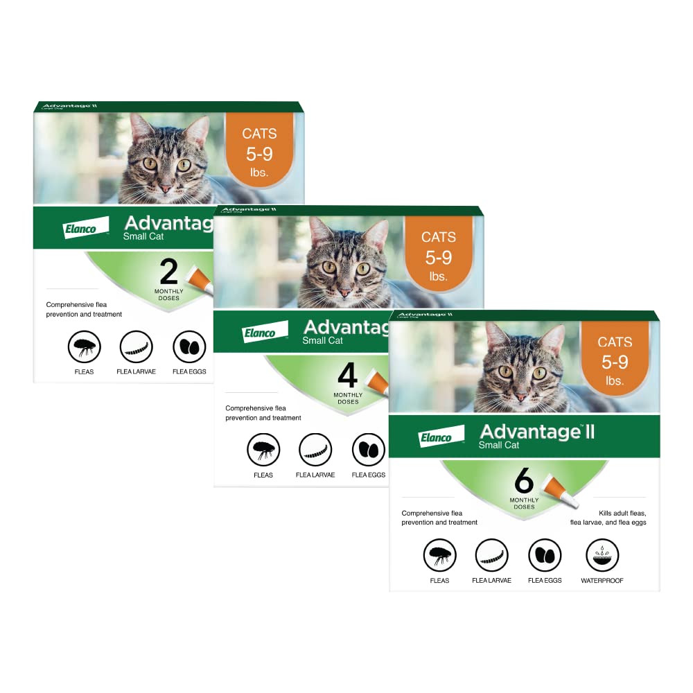 Advantage II Small Cat Vet-Recommended Flea Treatment & Prevention | Cats 5-9 lbs. | 2-Month Supply