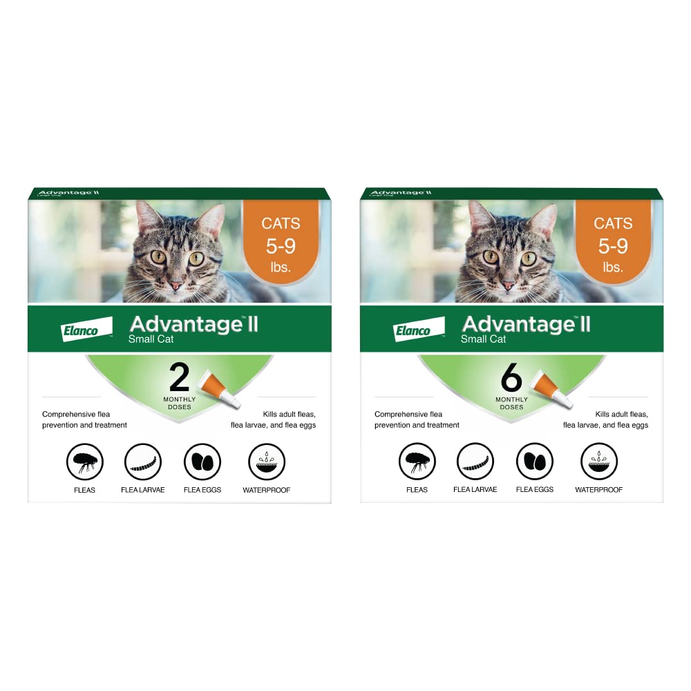 Advantage II Small Cat Vet-Recommended Flea Treatment & Prevention | Cats 5-9 lbs. | 2-Month Supply