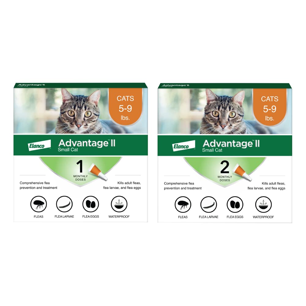 Advantage II Small Cat Vet-Recommended Flea Treatment & Prevention | Cats 5-9 lbs. | 2-Month Supply