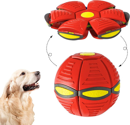 Magic Flying Saucer Ball for Dogs | Light-Up Outdoor UFO Dog Toy