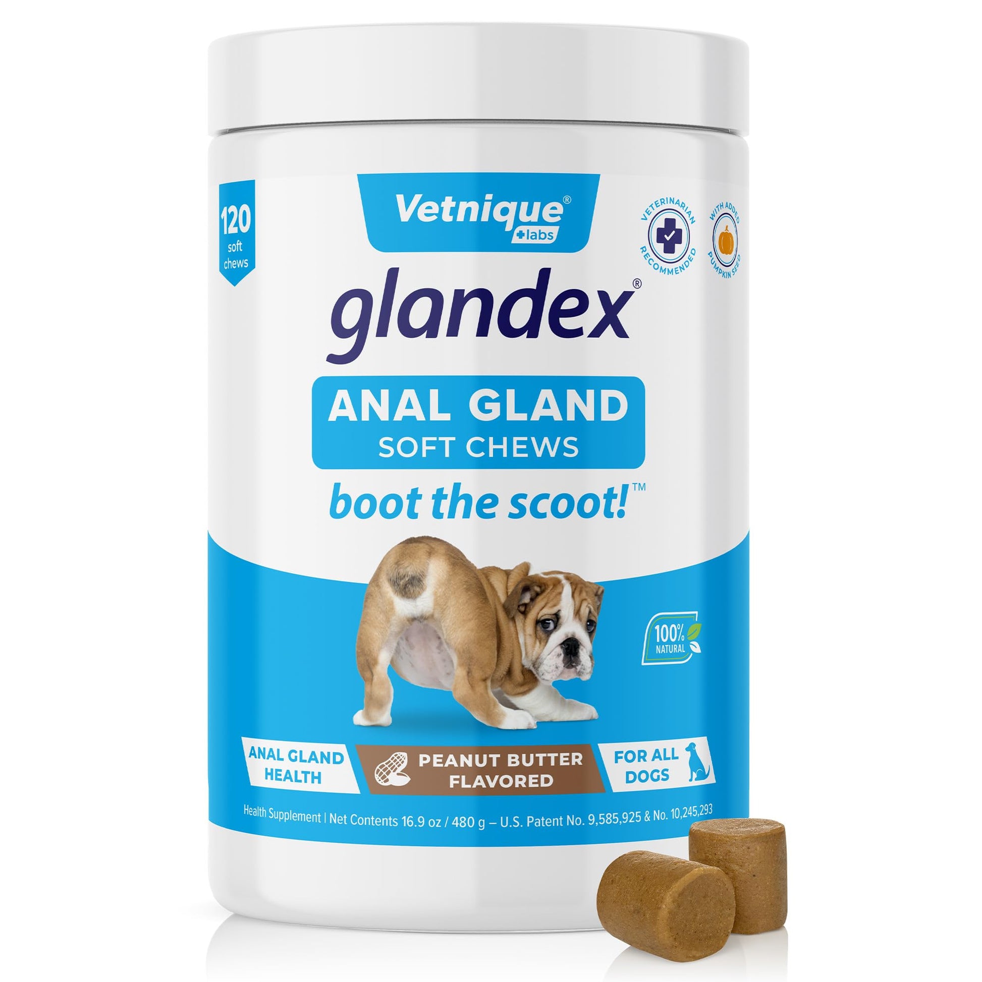 Glandex Anal Gland Soft Chew Treats with Pumpkin for Dogs Digestive Enzymes, Probiotics Fiber Supplement for Dogs Boot The Scoot (Peanut Butter Chews, 60ct)