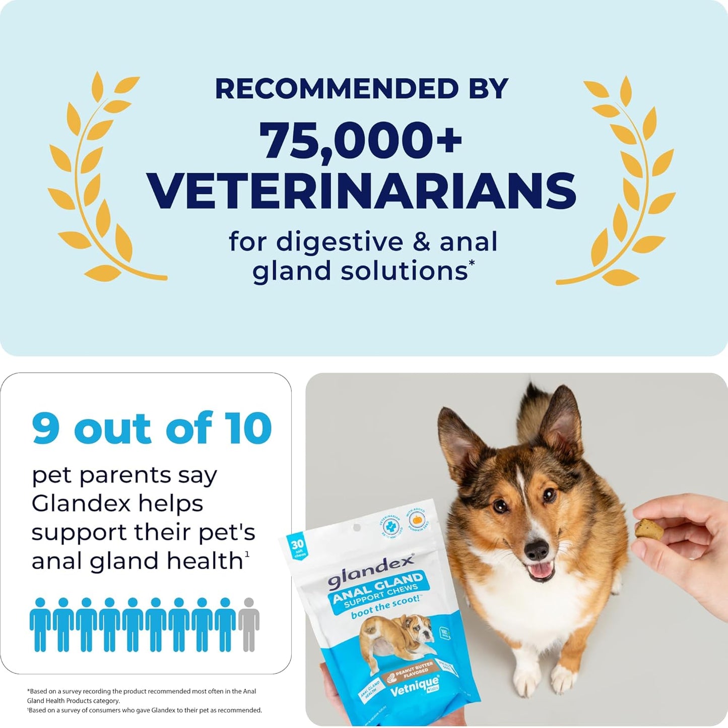 Glandex Anal Gland Soft Chew Treats with Pumpkin for Dogs Digestive Enzymes, Probiotics Fiber Supplement for Dogs Boot The Scoot (Peanut Butter Chews, 60ct)