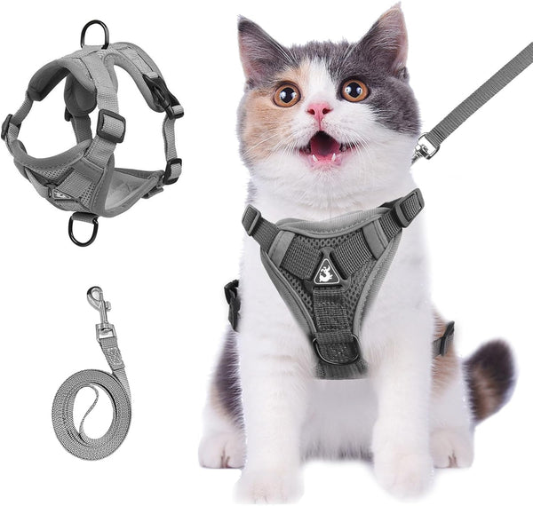 Product placeholder
