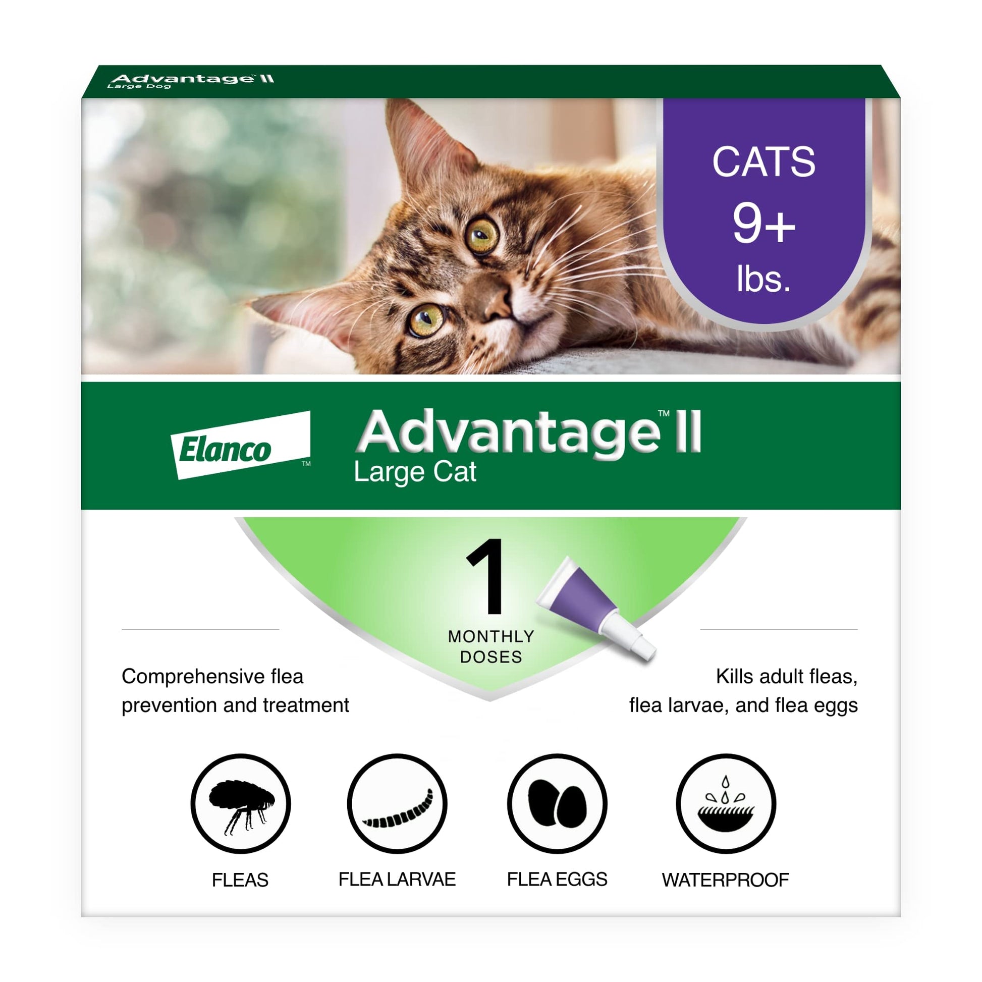 Advantage II Large Cat Vet-Recommended Flea Treatment & Prevention | Cats Over 9 lbs. | 6-Month Supply