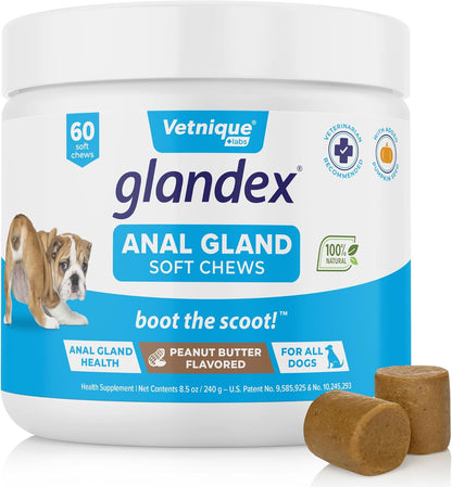 Glandex Anal Gland Soft Chew Treats with Pumpkin for Dogs Digestive Enzymes, Probiotics Fiber Supplement for Dogs Boot The Scoot (Peanut Butter Chews, 60ct)