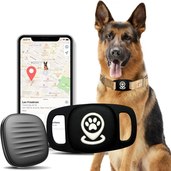 Product placeholder