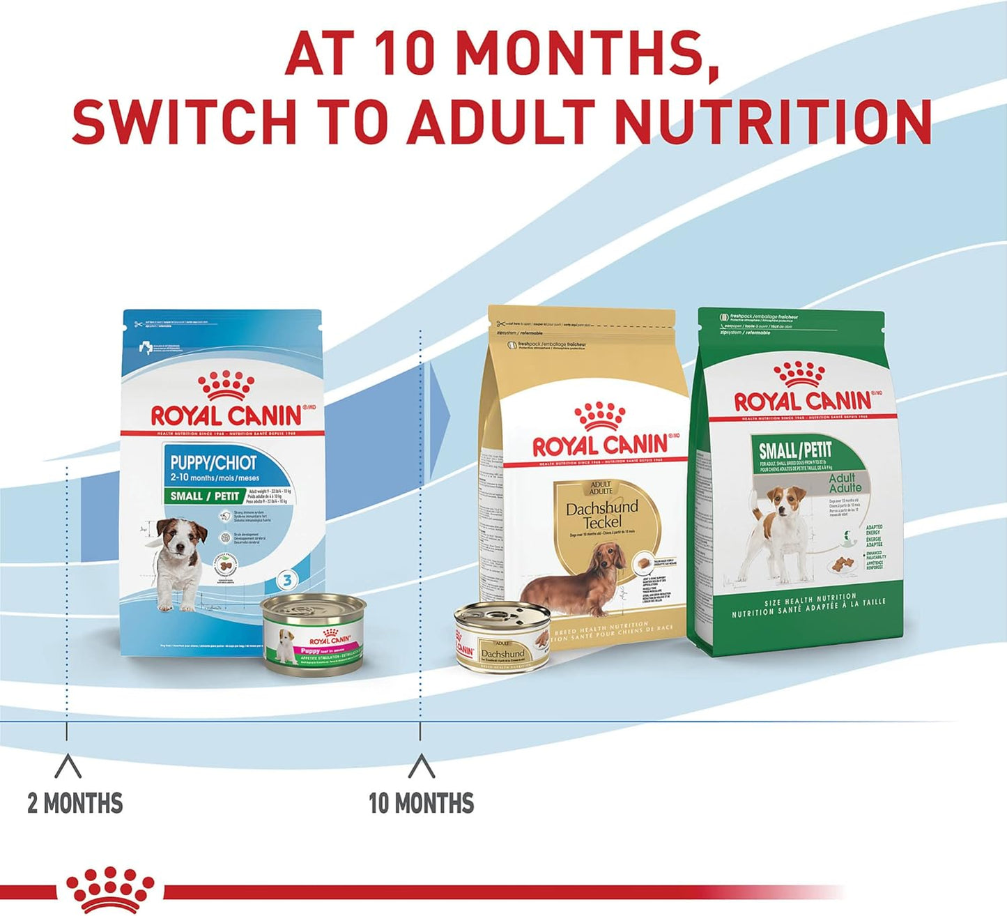 Royal Canin Size Health Nutrition Small Breed Dry Puppy Food, Supports Brain Development, Immune Support, and Digestive Health, 14 lb Bag