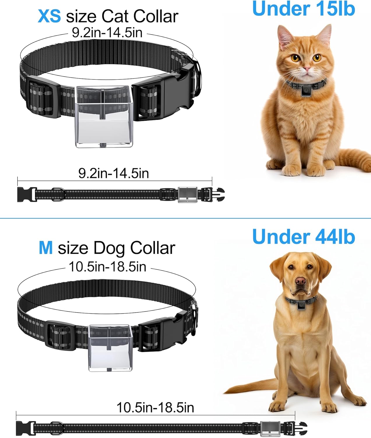 Cat Camera Collar, Direct Recording Camera for Cat/Dog, XS-Size Collar, No App, Cordless Cat Collar Camera, Body Camera for Cat/Dog Tracking, Dog Collar Camera(No Micro-SD Card Included)