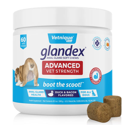 Glandex Anal Gland Soft Chew Treats with Pumpkin for Dogs Digestive Enzymes, Probiotics Fiber Supplement for Dogs Boot The Scoot (Peanut Butter Chews, 60ct)