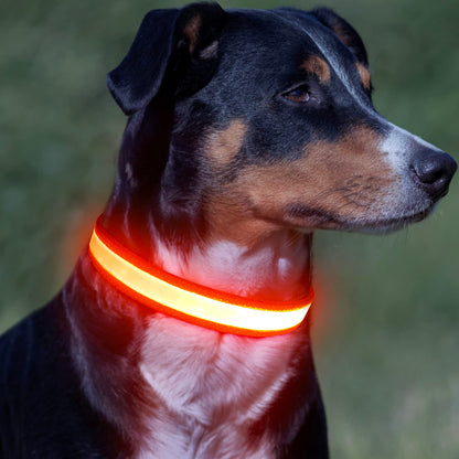 Vizpet LED Dog Collar, Light Up Dog Collar Adjustable USB Rechargeable Super Bright Safety Light Glowing Collars for Dogs(Medium,Green)