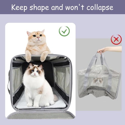 Prodigen Cat Carrier Dog Carriers for Small Dogs Soft Slided Airline Approved Collapsible Pet Travel Carrier, Small (16.3" L x 11.8" H x 12.4" W)